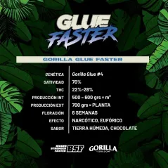 Características de la Gorilla Glue Faster de BSF Seeds