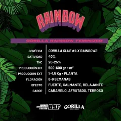 Características de Gorilla Rainbow de BSF Seeds