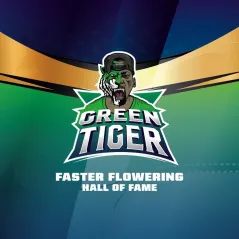 Portada de la Green Tiger Fast Version de BSF Seeds