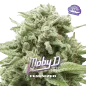 Moby-D Moby-D