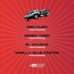 Características de Faster and Furious Mix Feminizadas de BSF Seeds