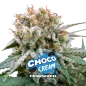 Choco Cream