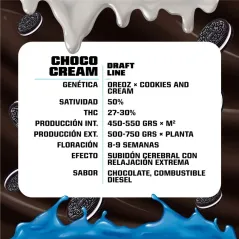 Características de la Choco Cream Feminizada de BSF Seeds