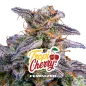 Tropi Cherry