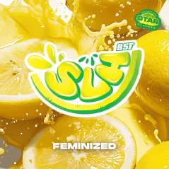 Portada de Super Lemon Haze de BSF Seeds