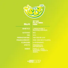 Características de Super Lemon Haze de BSF Seeds