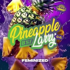 Portada de Pineapple Larry OG de BSF Seeds