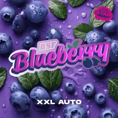 Portada de Blueberry XXL Auto de BSF Seeds.