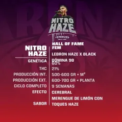 Características de Nitro Haze de BSF Seeds