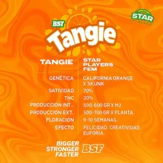 Características de Tangie Feminizada de BSF Seeds