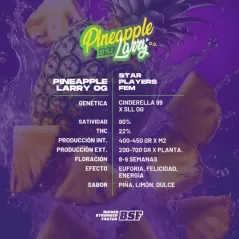 Características de Pineapple Larry OG de BSF Seeds
