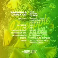 Características de la Pineapple Larry OG Auto de BSF Seeds.