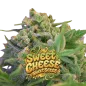 Sweet Cheese
