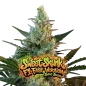 Sweet Skunk F1 Fast Version