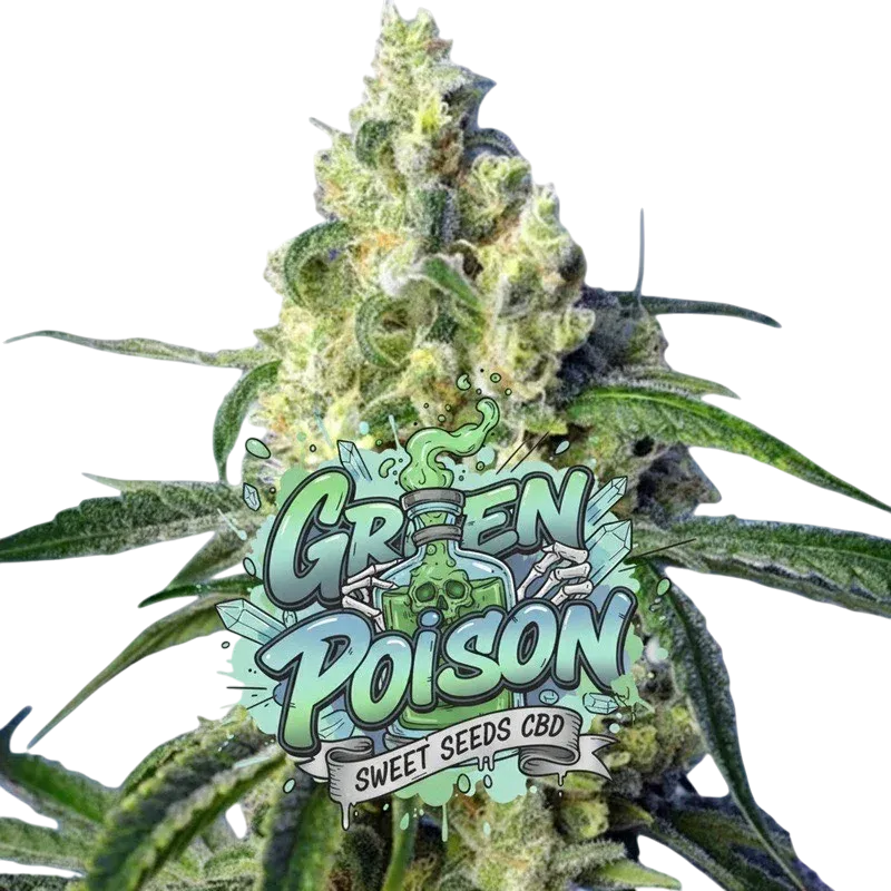 Green Poison CBD