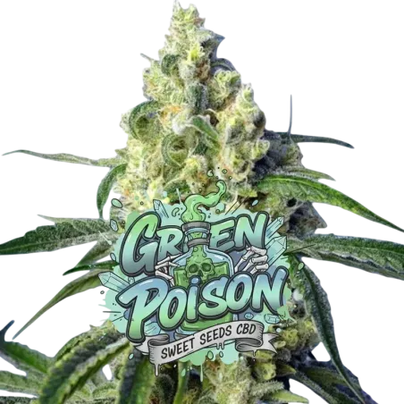 Green Poison CBD
