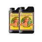 Sensi Grow A+B PH Perfect