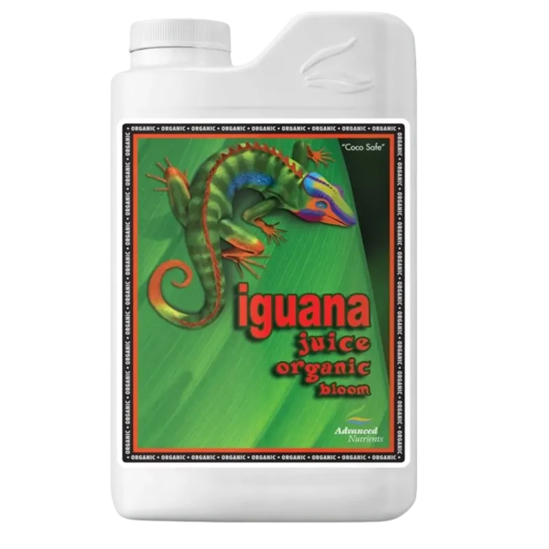 Organic Iguana Juice Bloom