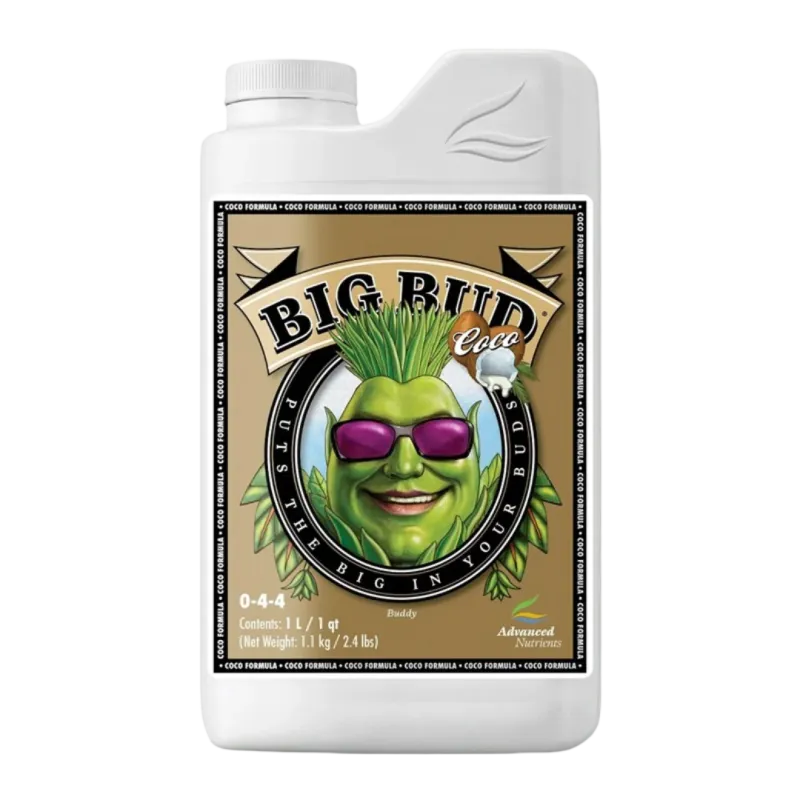 Big Bud Coco