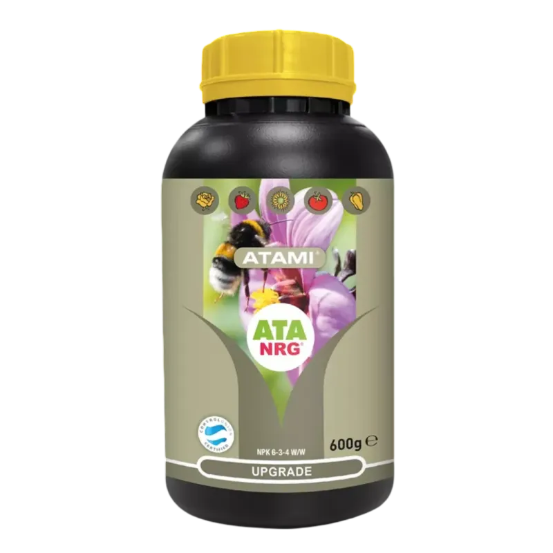 NRG Upgrade NRG Upgrade