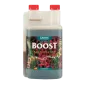 Boost Acelerator