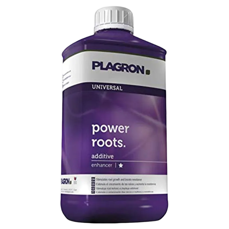 Power Roots