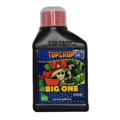 Botella de Big One de Top Crop.