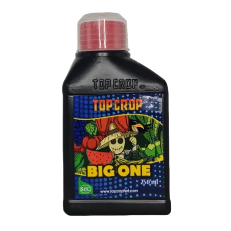 Botella de Big One de Top Crop.