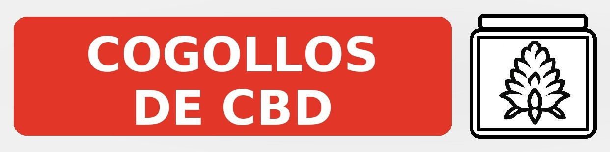 Cogollos de CBD – Flores Aromáticas de Máxima Calidad