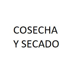 Cosecha y Secado