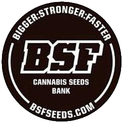 BSF Seeds